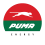 puma petroleum-logo